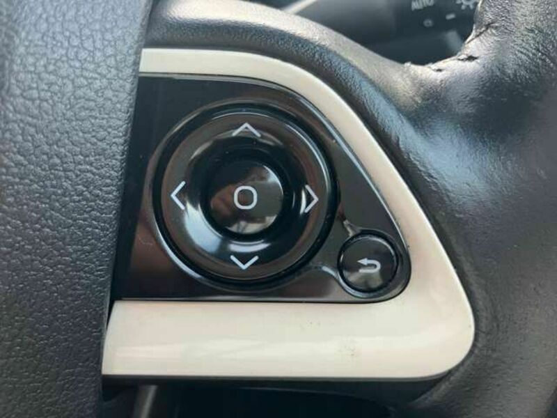 PRIUS-8