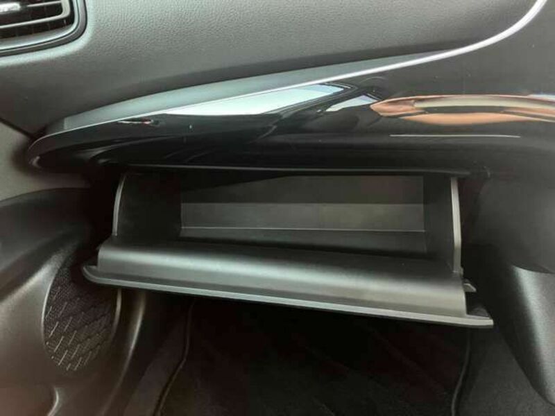 PRIUS-19