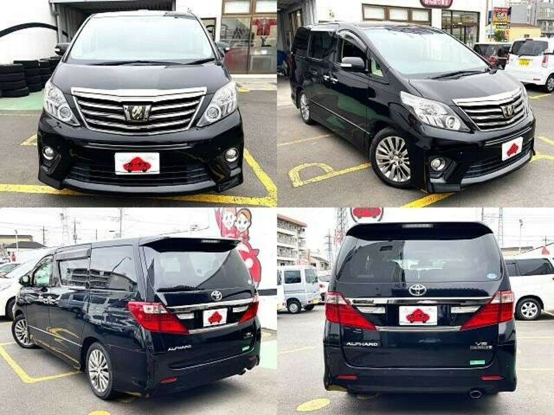 ALPHARD-8