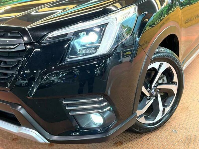 FORESTER