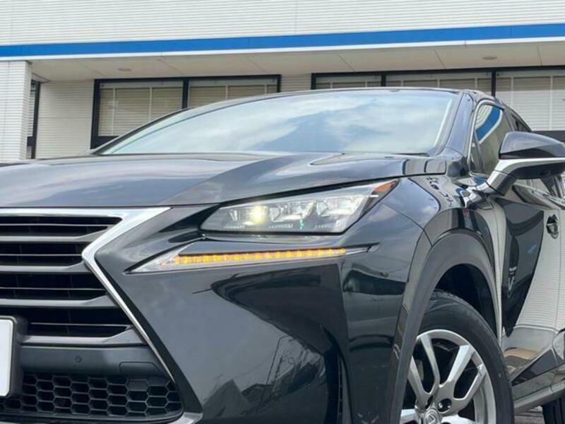 NX