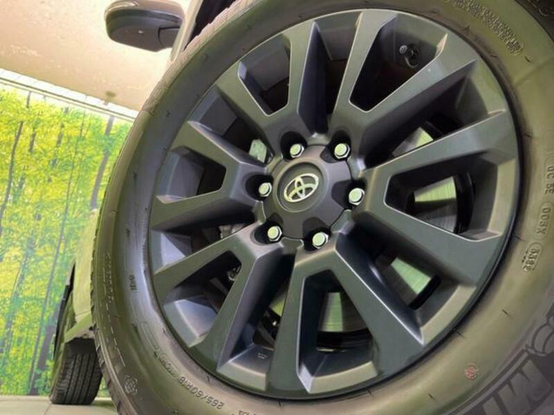 LAND CRUISER PRADO-12