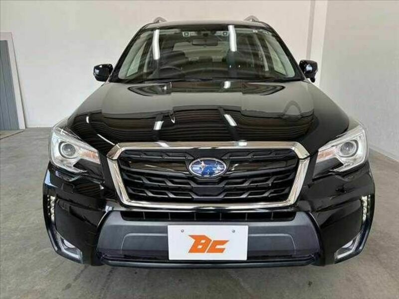 FORESTER-8