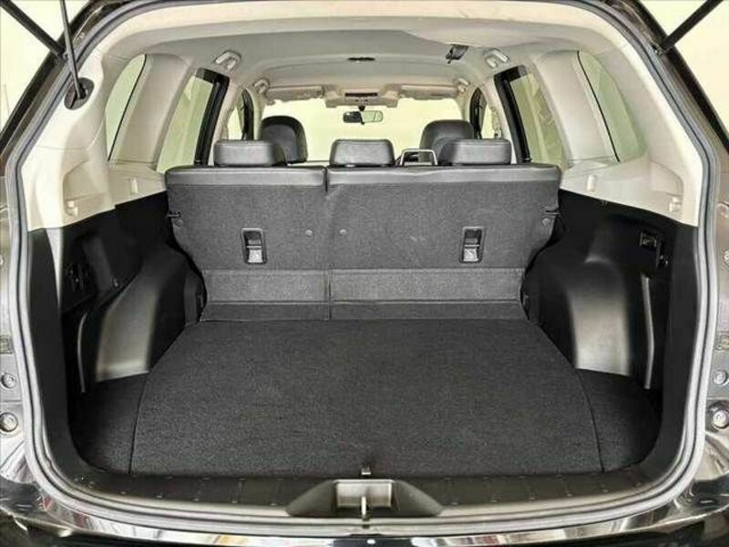 FORESTER-19