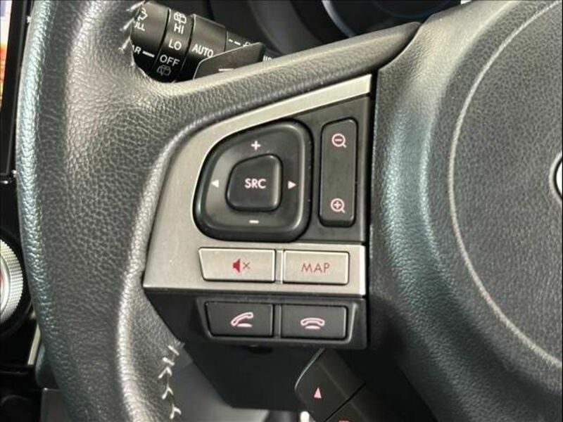 FORESTER-25