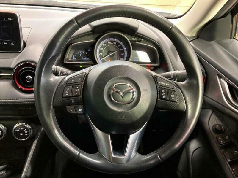 CX-3-10