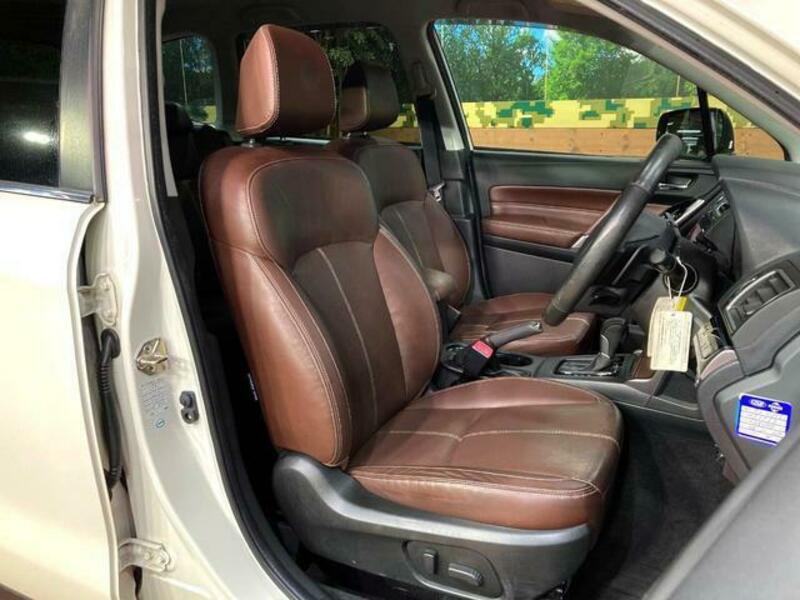 FORESTER