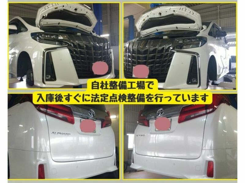 ALPHARD-4