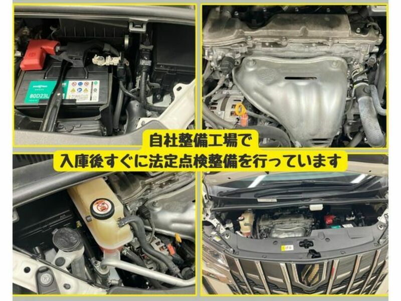ALPHARD-7