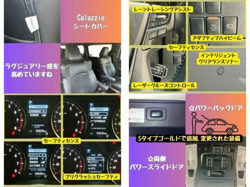 ALPHARD-13