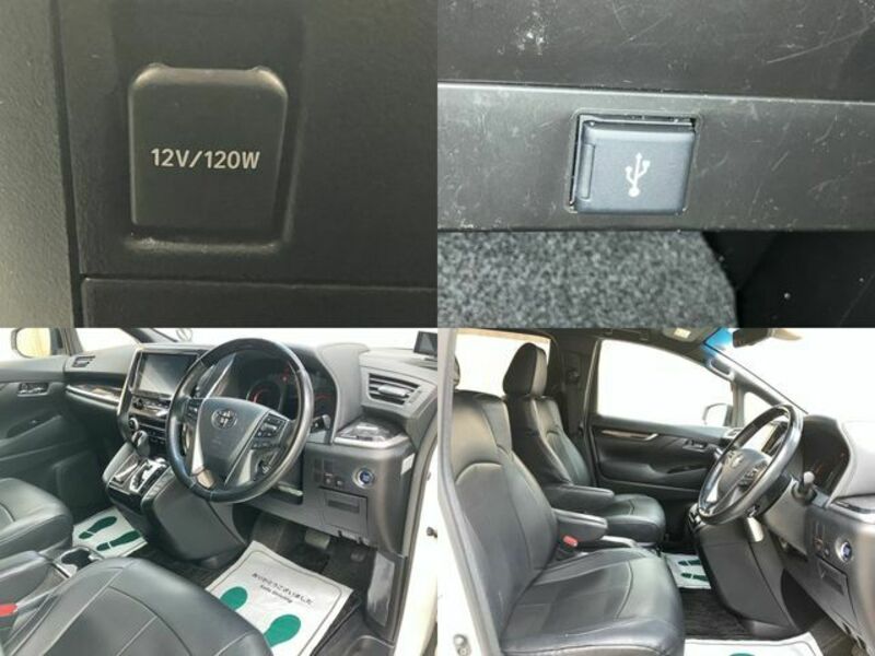 ALPHARD-17
