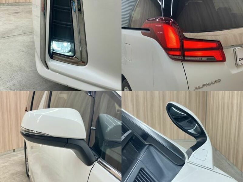 ALPHARD-24