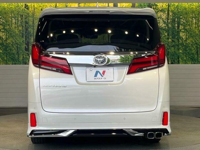 ALPHARD-16