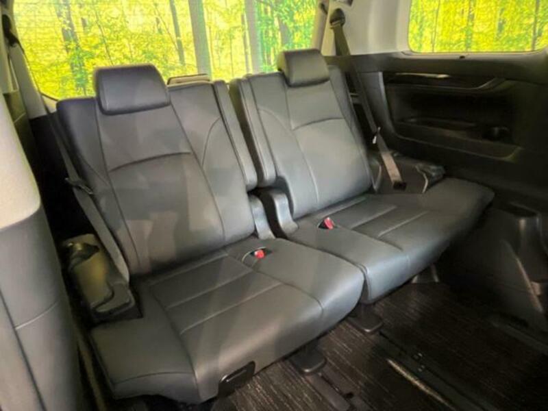 ALPHARD-10