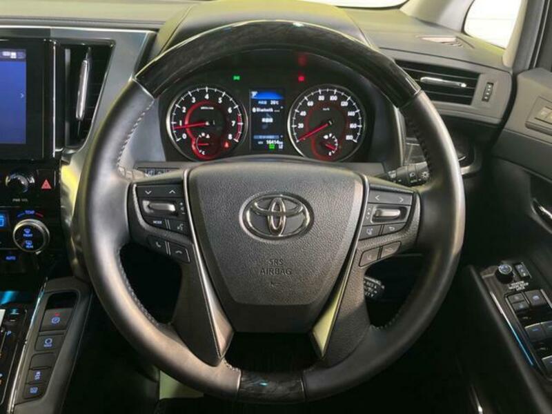 ALPHARD-12