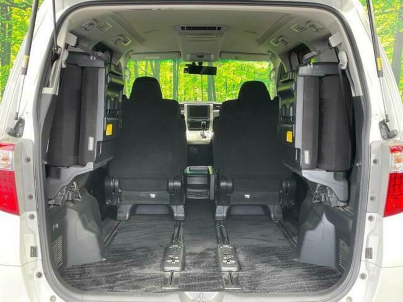 ALPHARD-10