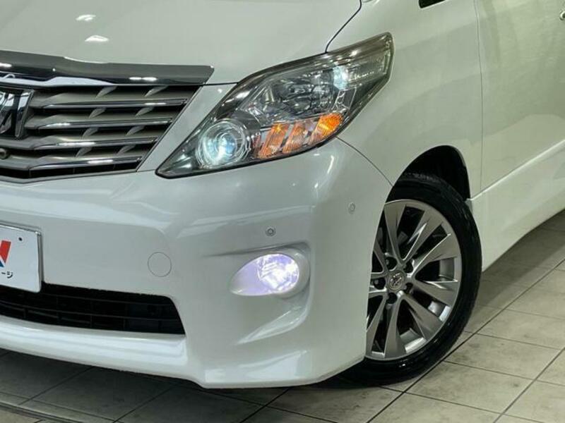 ALPHARD-12