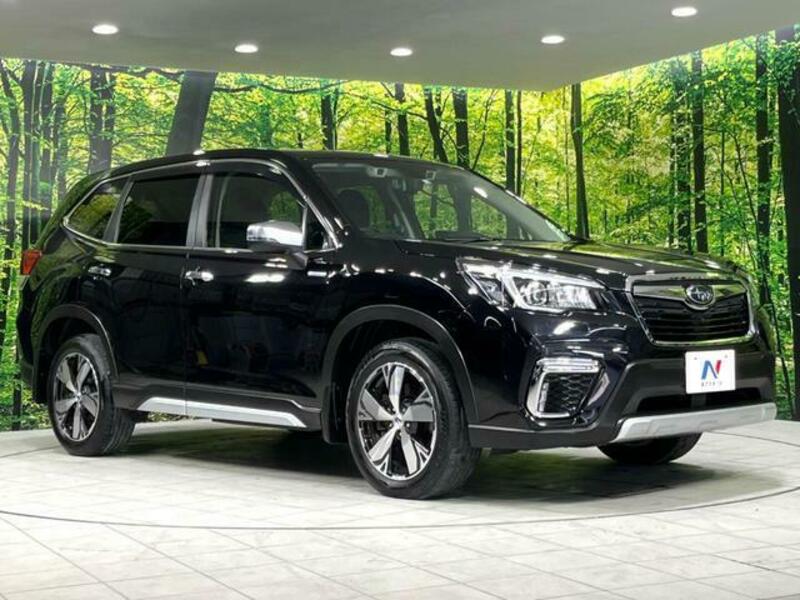 FORESTER