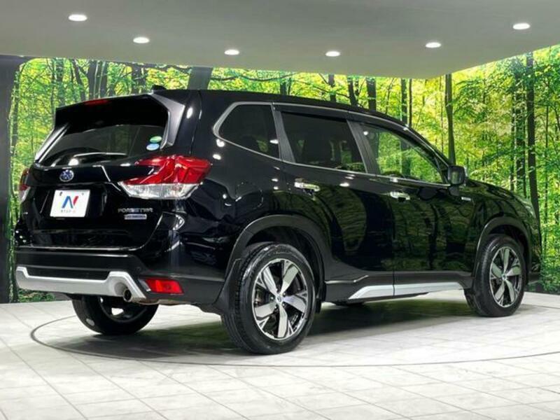 FORESTER