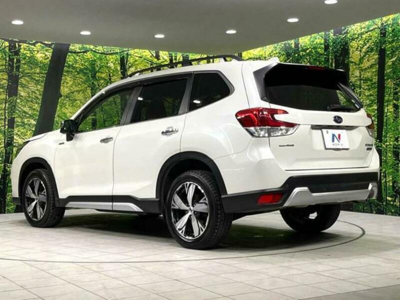FORESTER