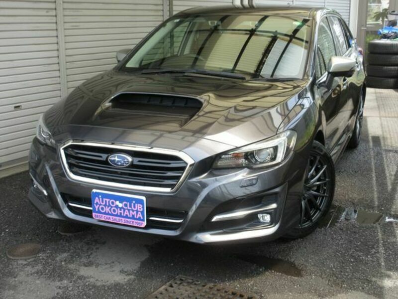 LEVORG-0
