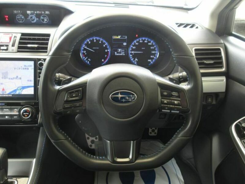 LEVORG