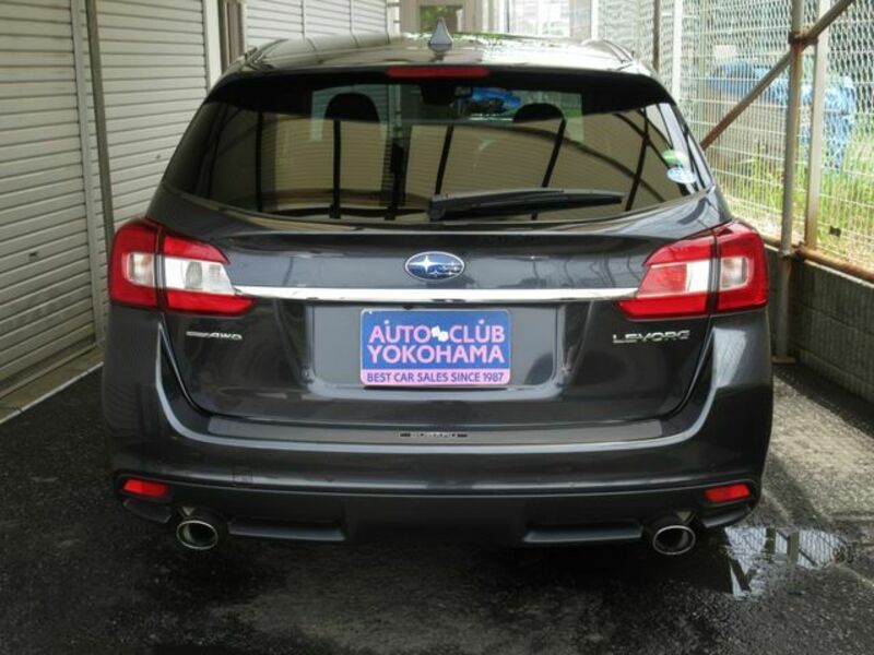 LEVORG