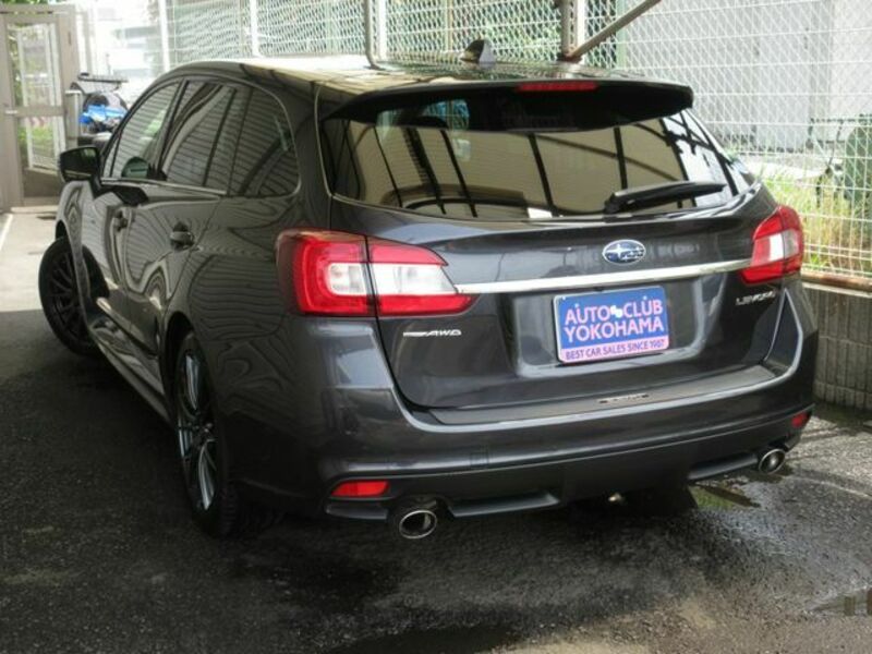 LEVORG