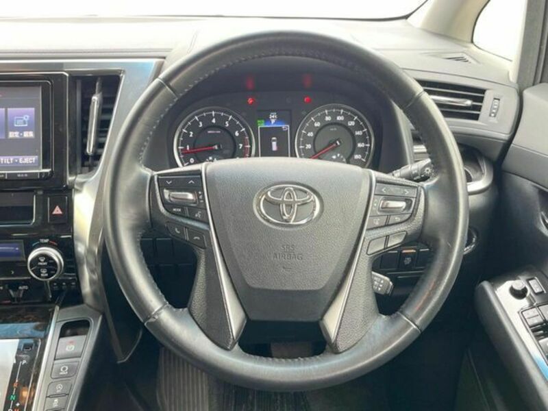 ALPHARD-13