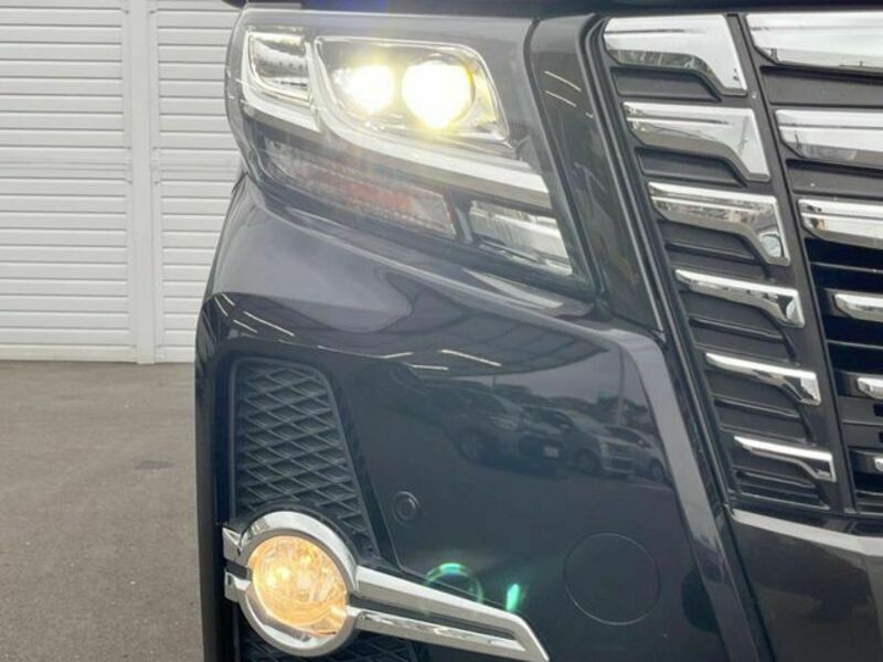 ALPHARD-14