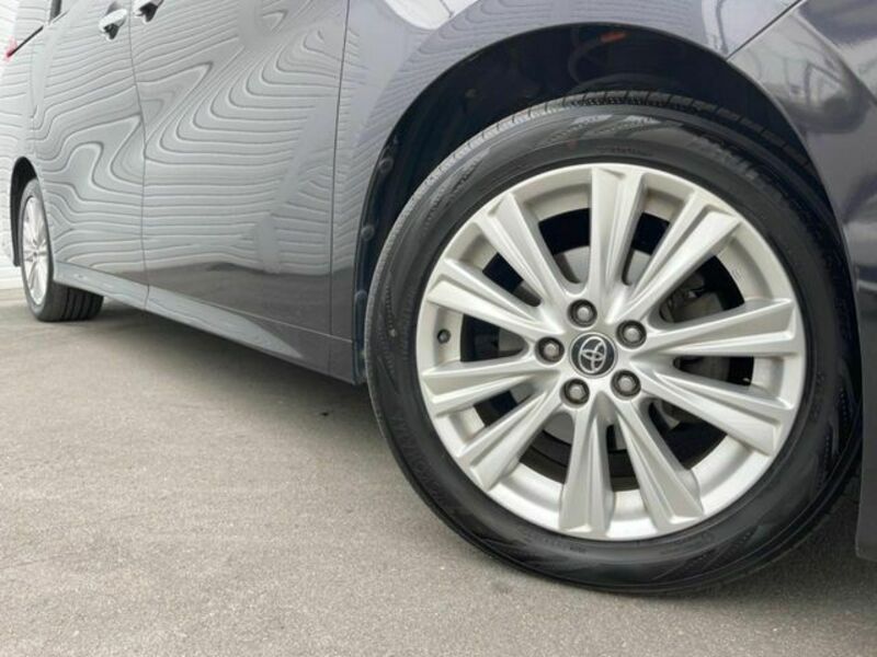 ALPHARD-15