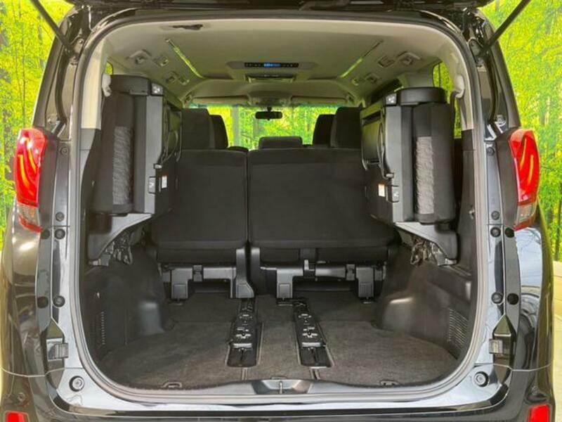 ALPHARD-10