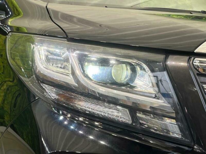 ALPHARD-12