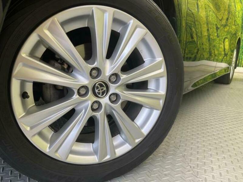ALPHARD-13