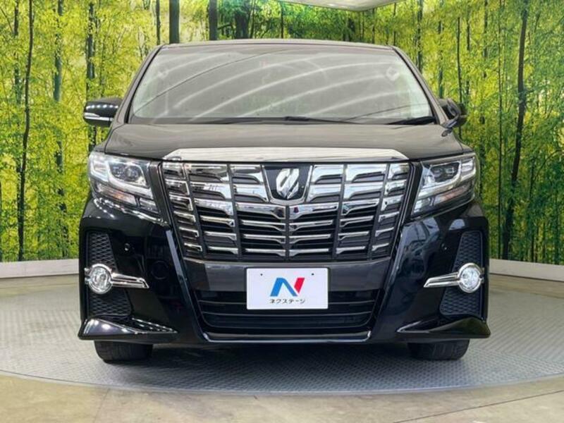 ALPHARD-14