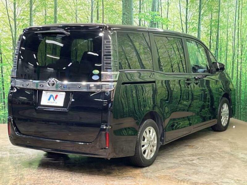 VOXY-11