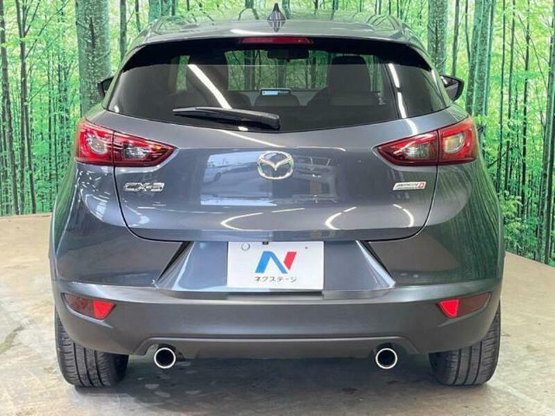 CX-3-10