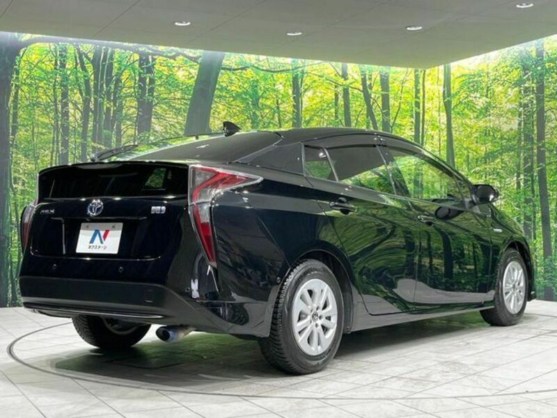 PRIUS-16