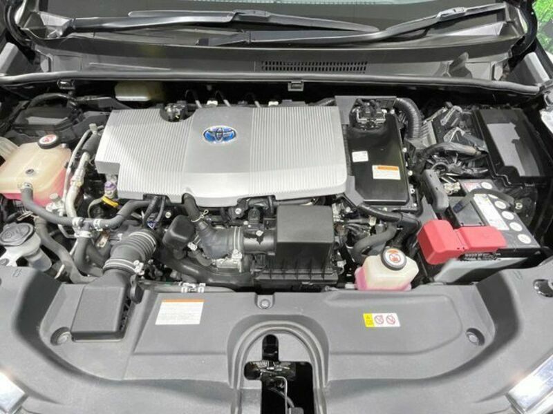 PRIUS-17
