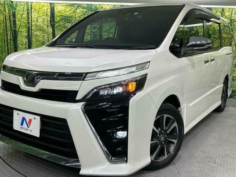 VOXY-12