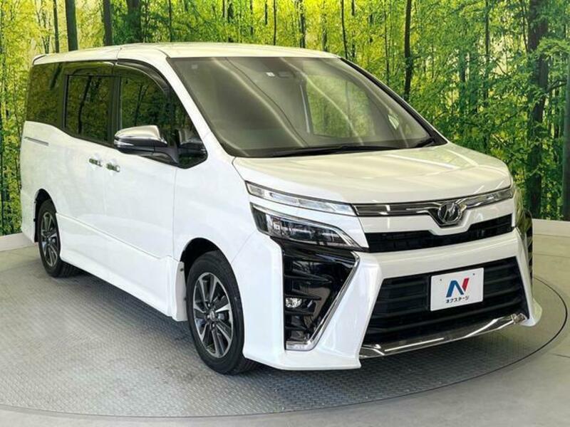 VOXY-17