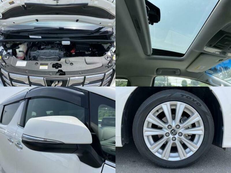 ALPHARD-7