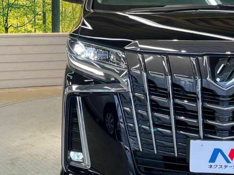 ALPHARD-12