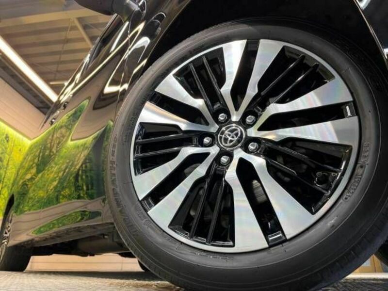 ALPHARD-13