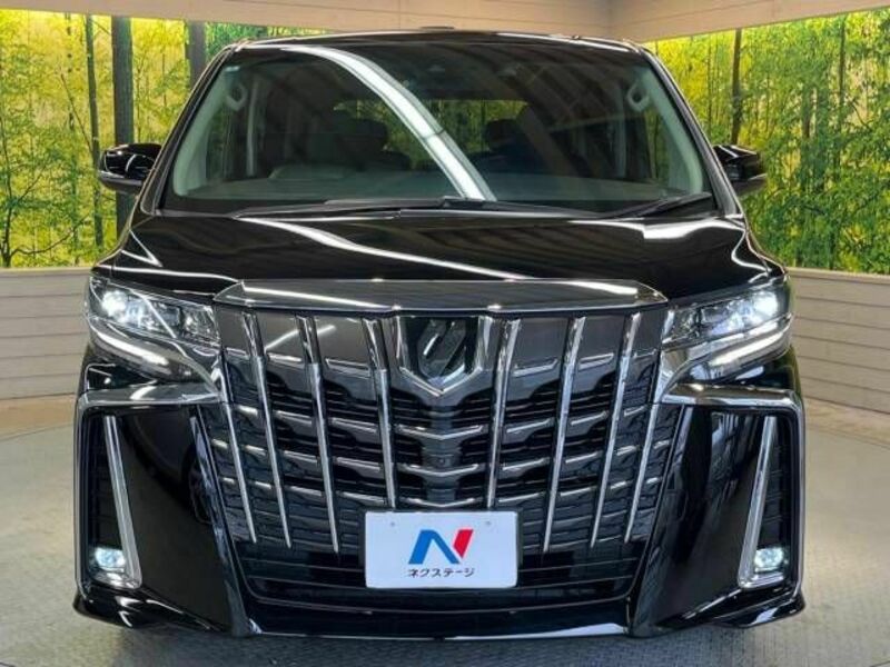 ALPHARD-14