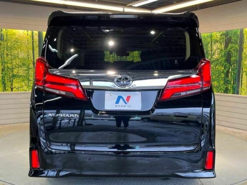 ALPHARD-15