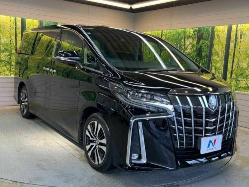 ALPHARD-16