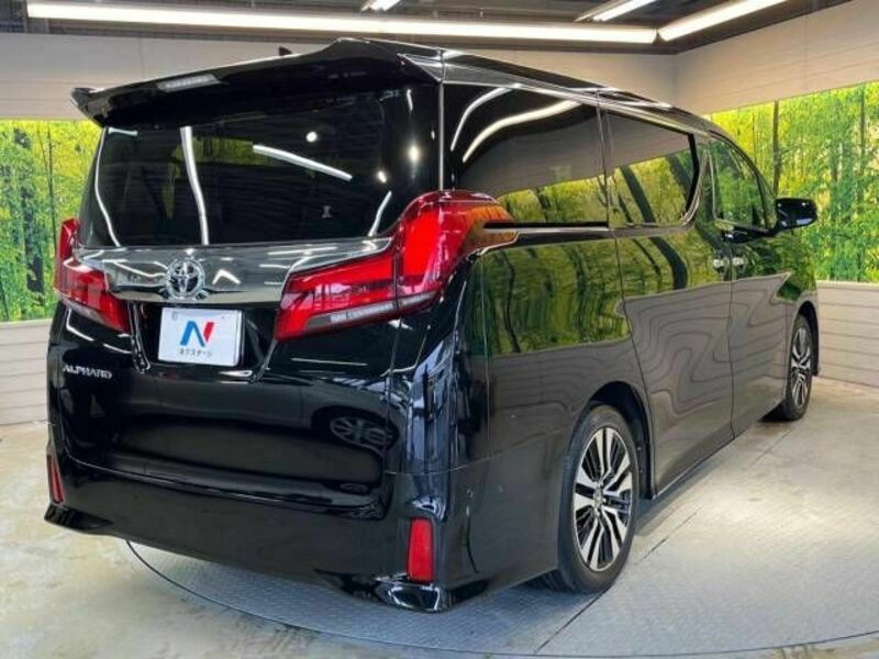 ALPHARD-17