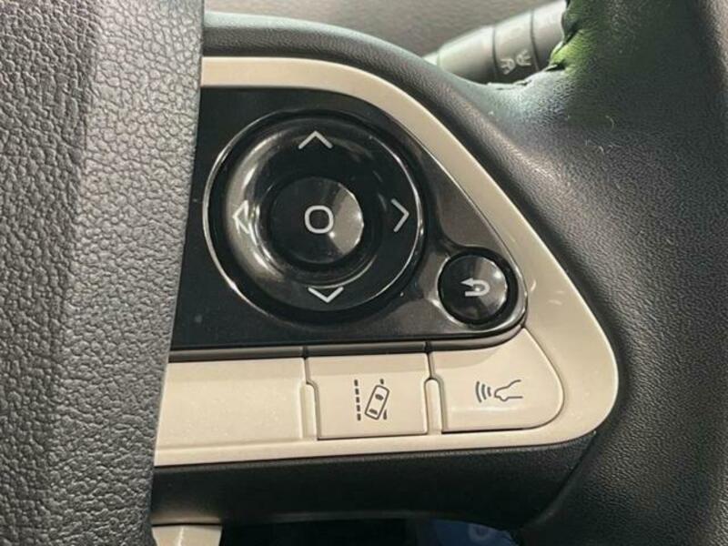 PRIUS-4
