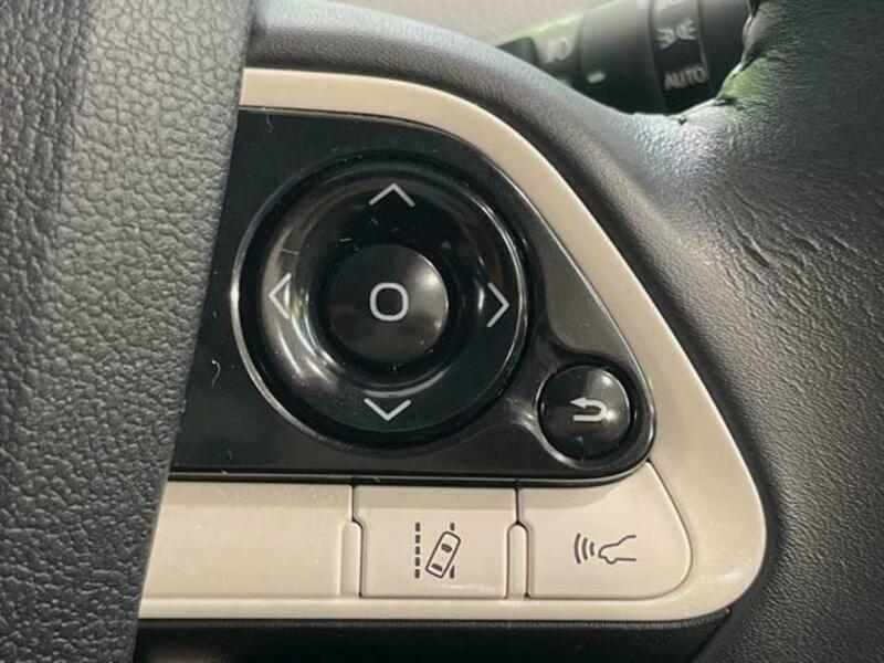 PRIUS-4